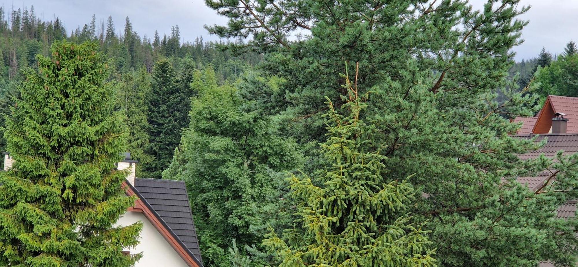 Apartamenty Pod Limba Zakopane Extérieur photo